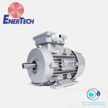 MOTOR CHÂN ĐẾ ENERTECH 3HP (4POLE)