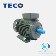 MOTOR CHÂN ĐẾ TECO 150HP (6POLE)