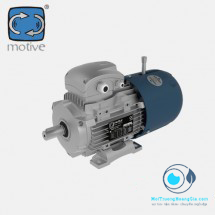 MOTOR CHÂN ĐẾ MOTIVE MOT 80B-4-B24 220HP (4POLE)