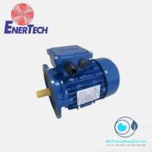 MOTOR MẶT BÍCH ENERTECH 75HP (4POLE)